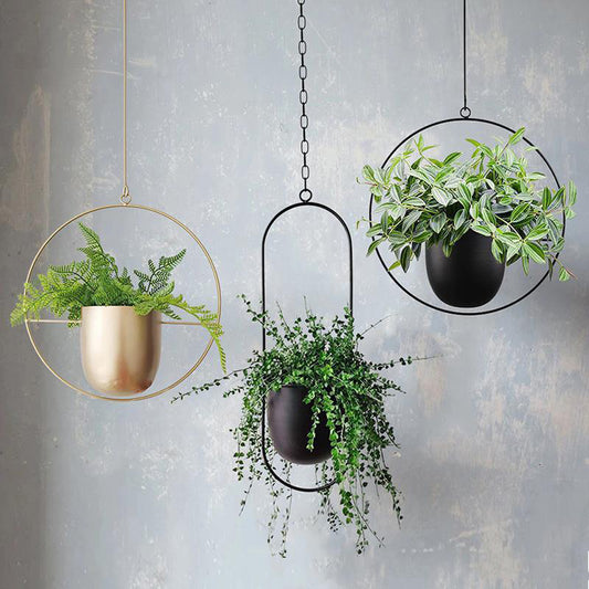 Nordic Style Hanging Iron Flower Pot - Creative Hydroponic Plant Potted Decoration - Hanging Orchid