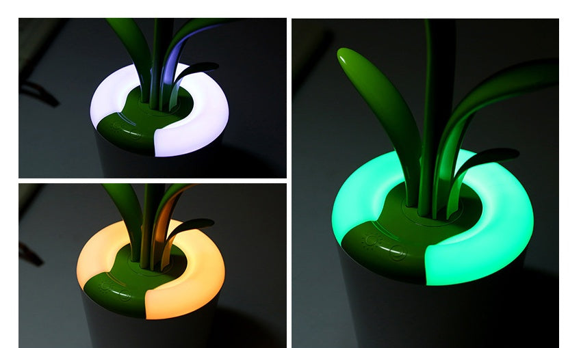 Clivia Table Lamp