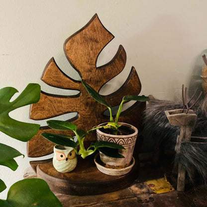 Indoor Creative Potted Wall Decoration - Bedroom Wall Decor